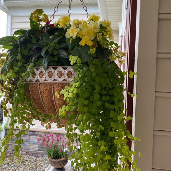 Thanks for sharing in advance💞 - Picture 4 of 7